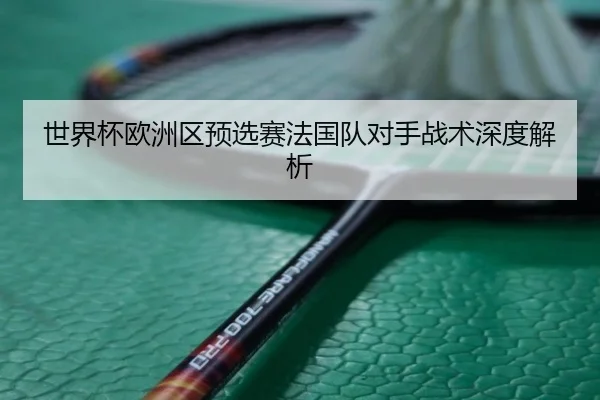 世界杯欧洲区预选赛法国队对手战术深度解析